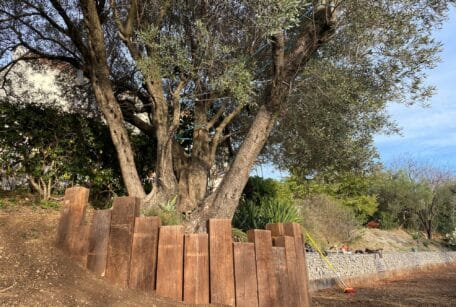 renfort talus avec gabions