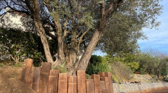 renfort talus avec gabions