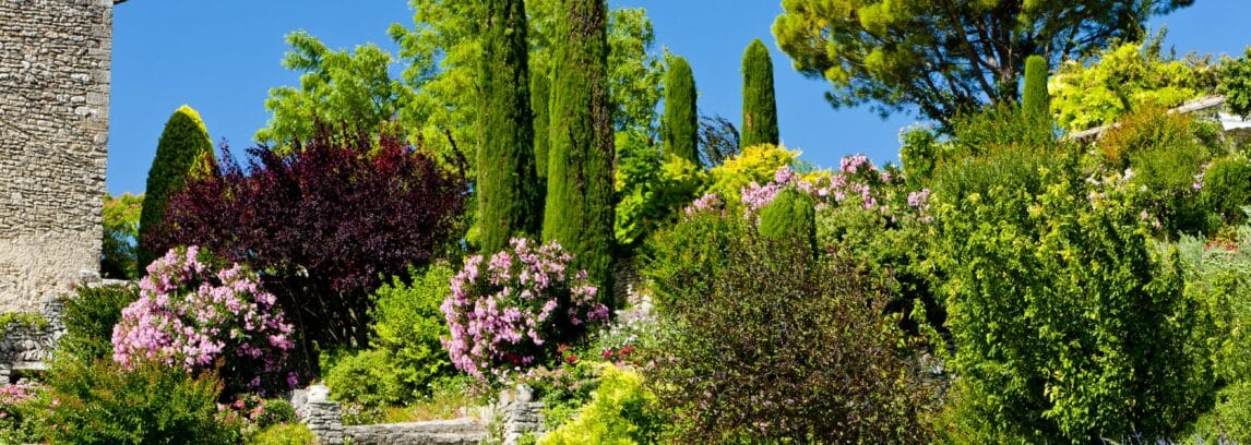 AU JARDIN D'OC Jardinier Paysagiste qualifié Montpellier - Nos créations