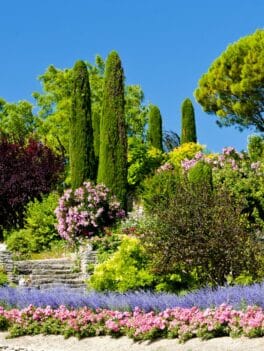 AU JARDIN D'OC Jardinier Paysagiste qualifié Montpellier - Nos créations